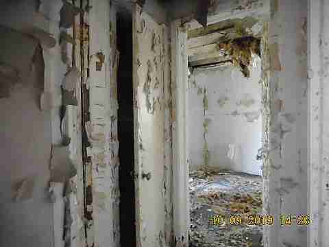 13021 Kelly (19)_m.jpg